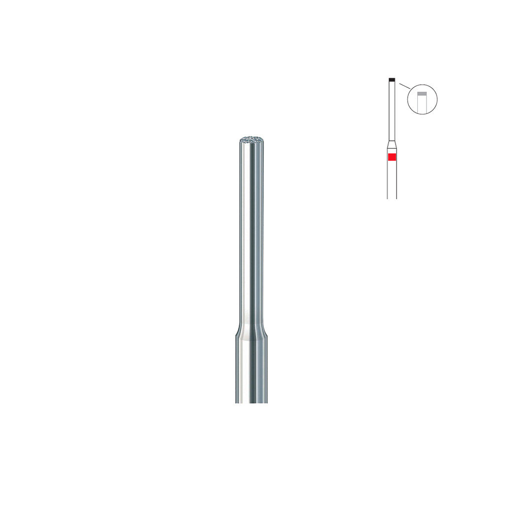 Fraise diamant F839.FG 010 grains fin cylindre coupe frontale